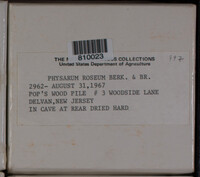 Image Associated With the Occurence